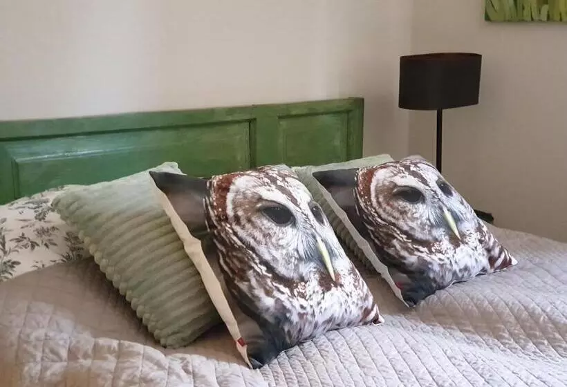 ベッドアンドブレックファースト Majątek Morgi