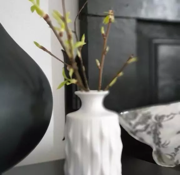 ベッドアンドブレックファースト Majątek Morgi