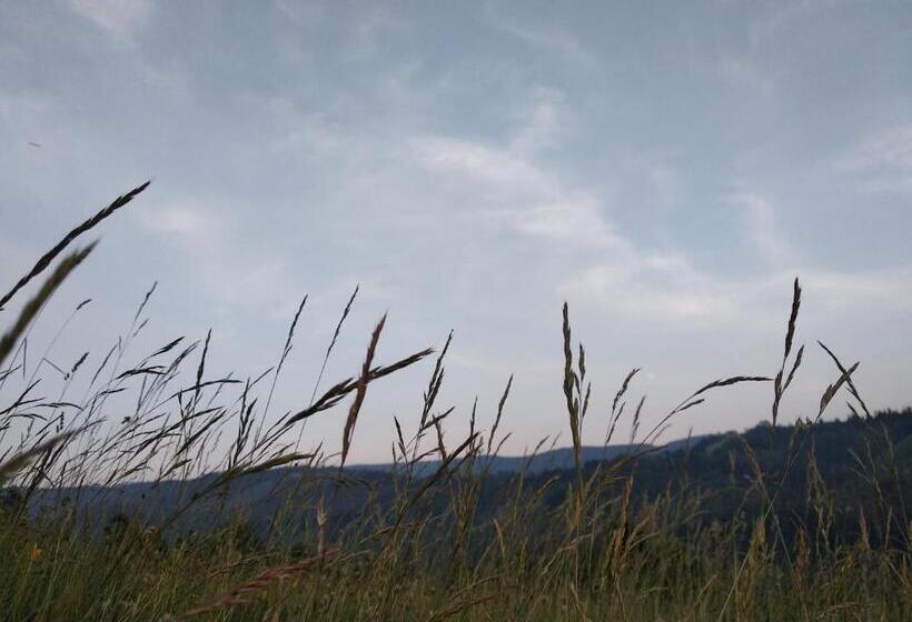 Bed and Breakfast U Janka