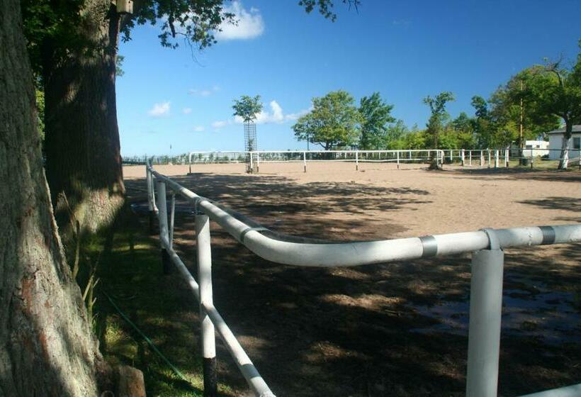 בית מלון כפרי Agroturystyka Stajnia Horyzont