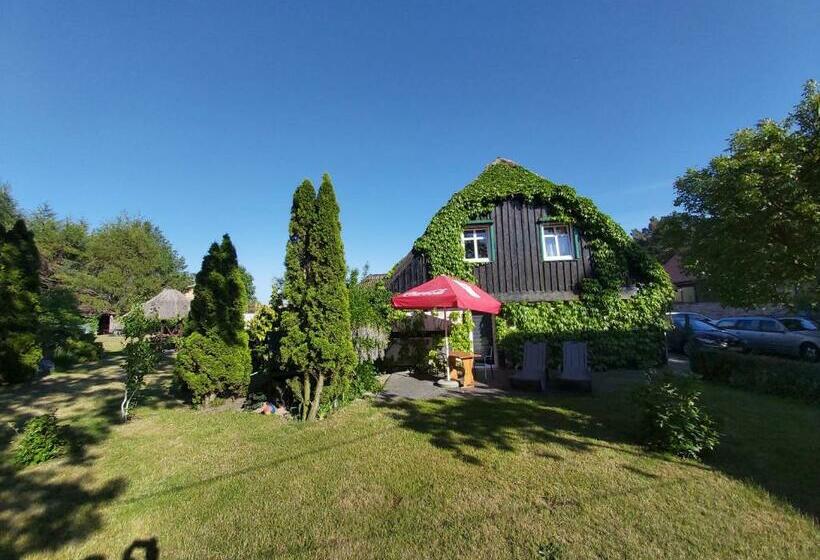 בית מלון כפרי Agroturystyka Stajnia Horyzont