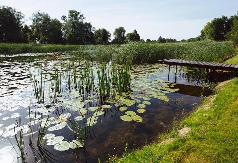 فندق Apartamenty I Pokoje U Barbary