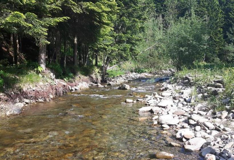 호텔 Pokoje U Zajdy