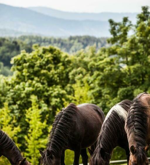 فندق Rancho Pcim