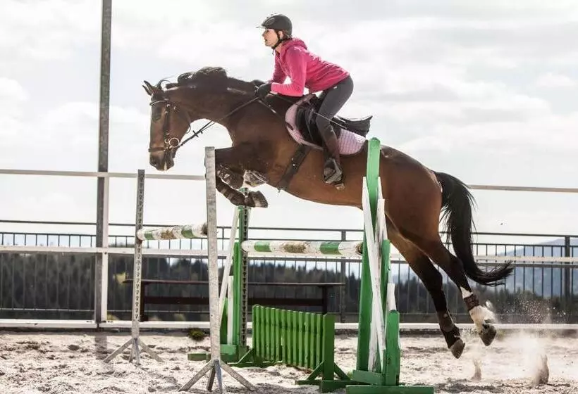 ホテル Rancho Pcim