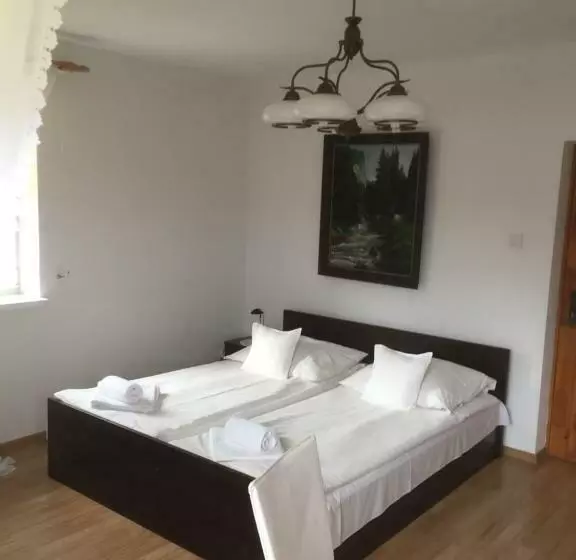 پانسیون Willa Panorama