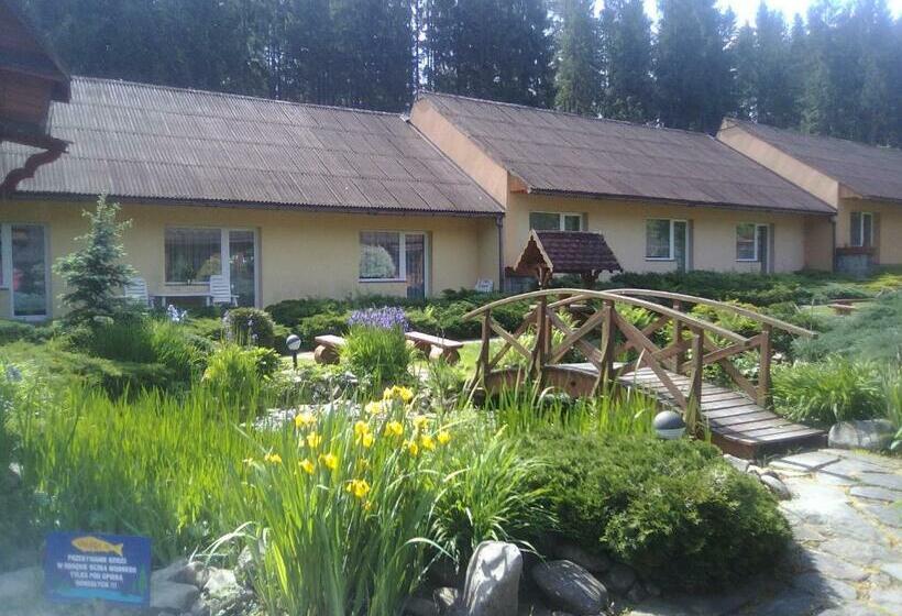 Курорт Ośrodek Wczasowy Gronostaj