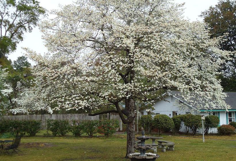 צימר Edenfield House