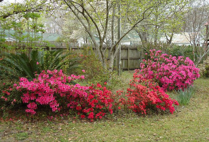 צימר Edenfield House