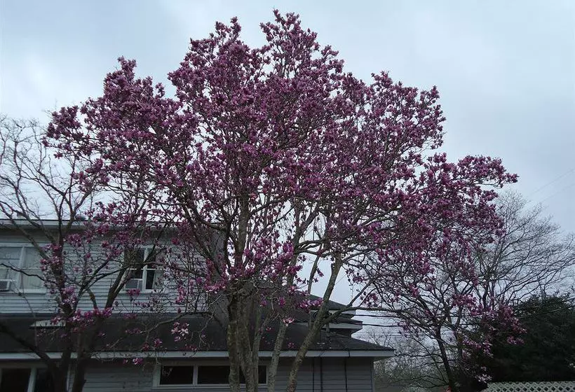 Bed and Breakfast Edenfield House