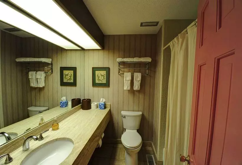 Bed and Breakfast Edenfield House