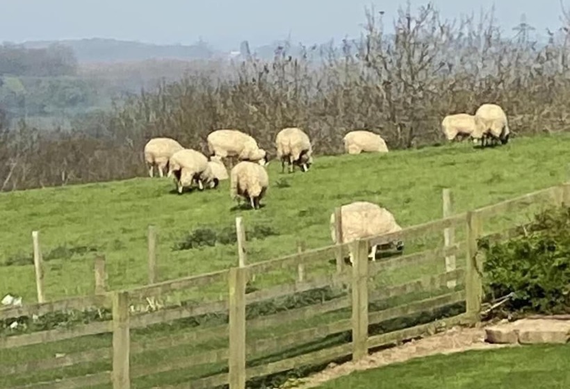 مبيت وإفطار The Carpenters Arms