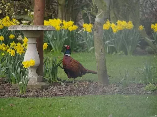 住宿加早餐  West Ridge