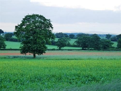 مبيت وإفطار West Ridge