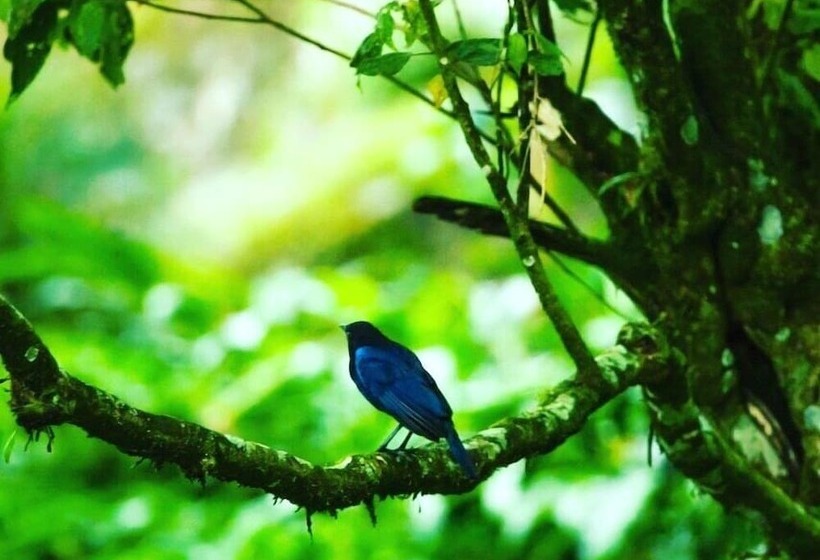 ホテル Ambady Estate