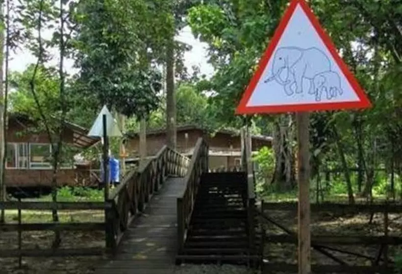 ホテル Borneo Nature Lodge