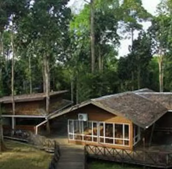 ホテル Borneo Nature Lodge