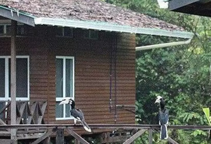 ホテル Borneo Nature Lodge