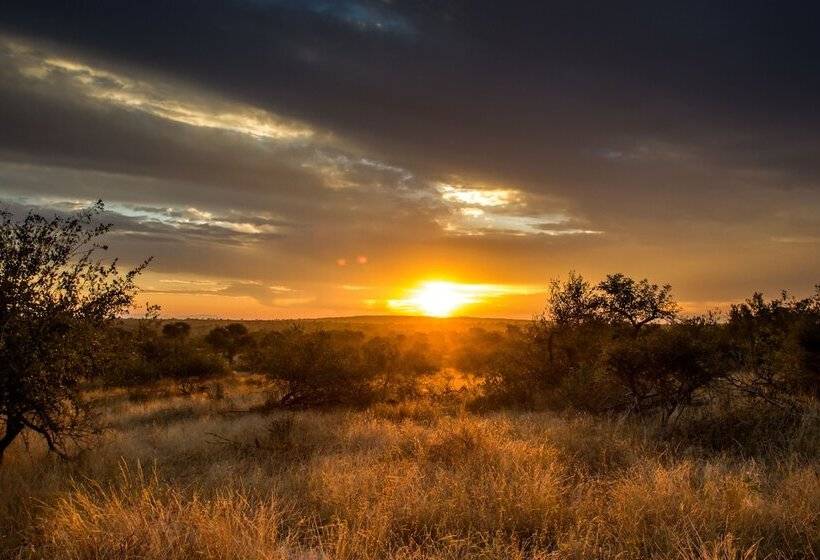 호텔 Ezulwini Game Lodges