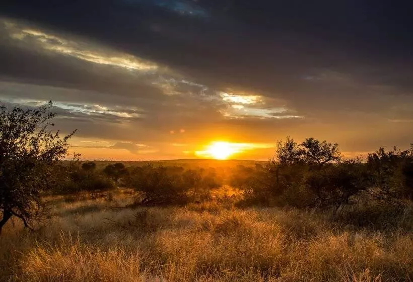 هتل Ezulwini Game Lodges