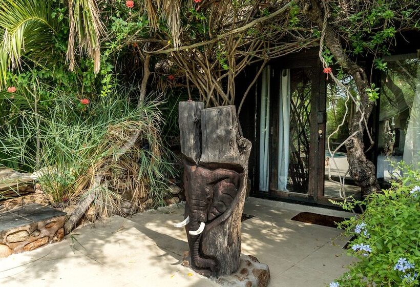 호텔 Ezulwini Game Lodges