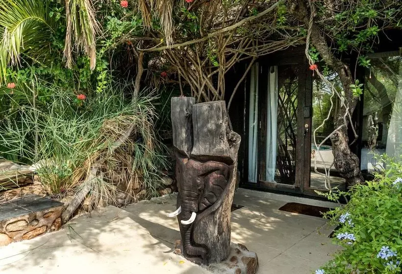 هتل Ezulwini Game Lodges