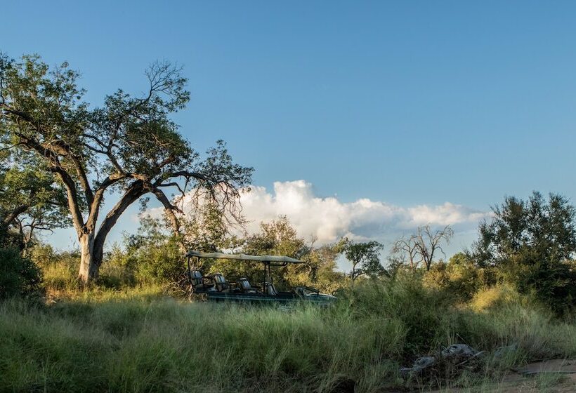 호텔 Ezulwini Game Lodges