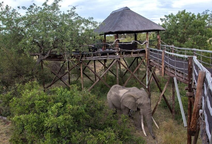 호텔 Ezulwini Game Lodges