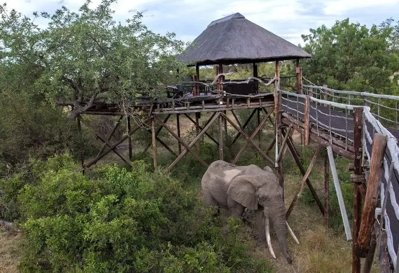 هتل Ezulwini Game Lodges