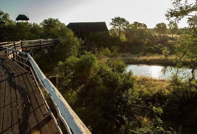 호텔 Ezulwini Game Lodges