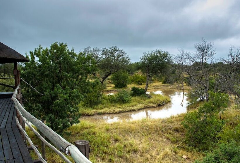 호텔 Ezulwini Game Lodges