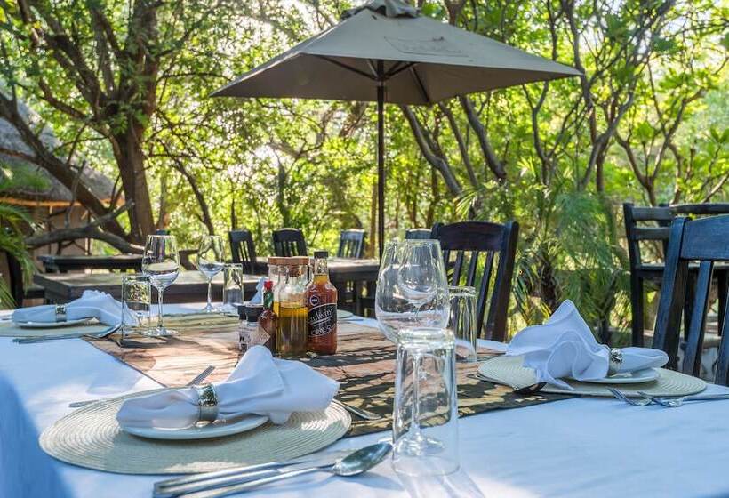 호텔 Ezulwini Game Lodges