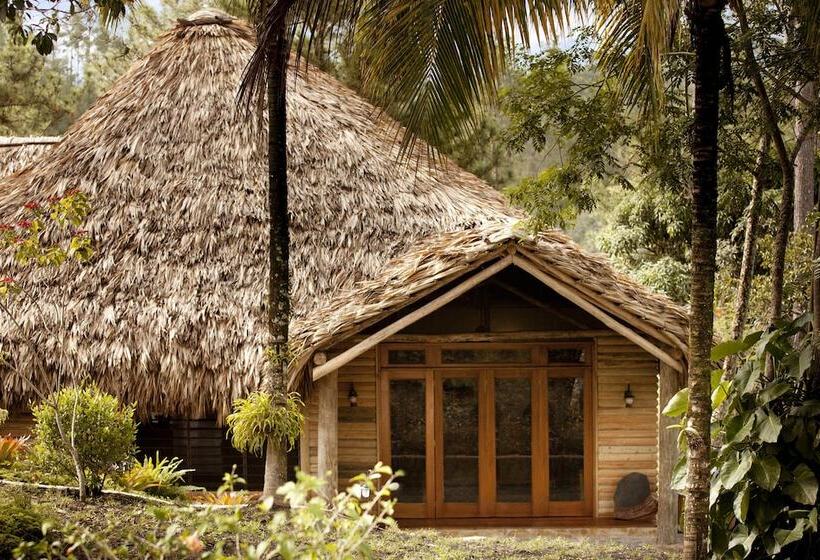 בית מלון כפרי Gaia Riverlodge