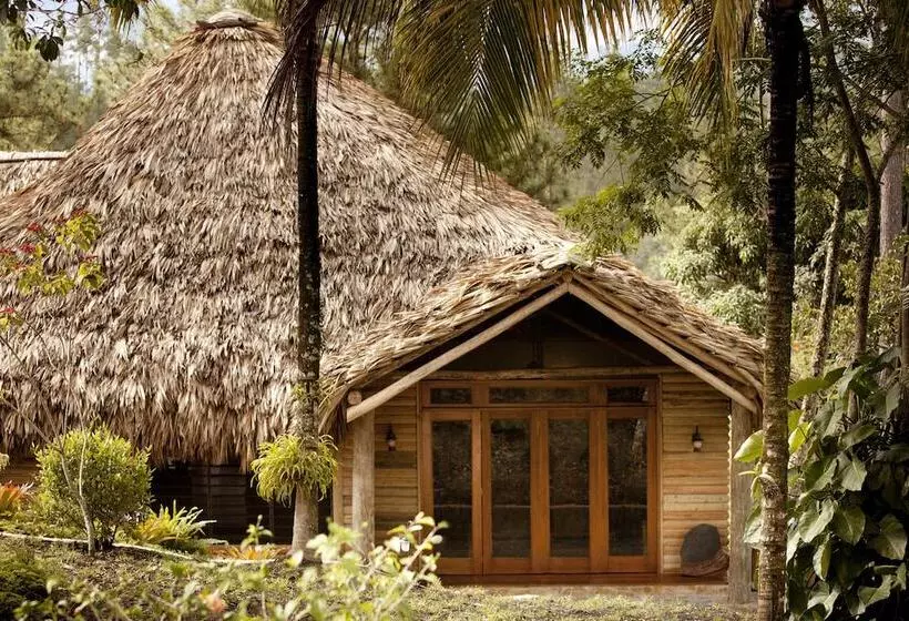 Отель Gaia Riverlodge