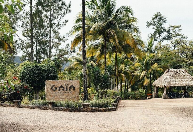 בית מלון כפרי Gaia Riverlodge