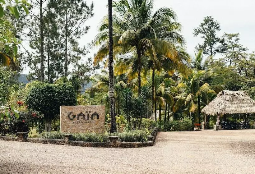 Отель Gaia Riverlodge