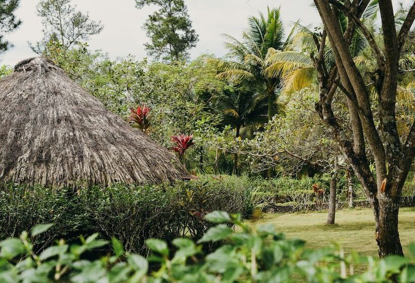 בית מלון כפרי Gaia Riverlodge