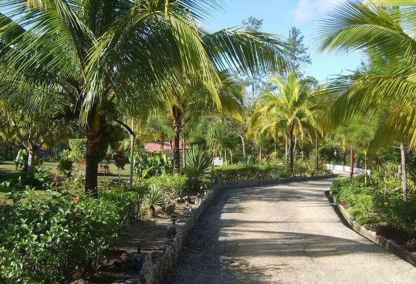 Отель Gaia Riverlodge