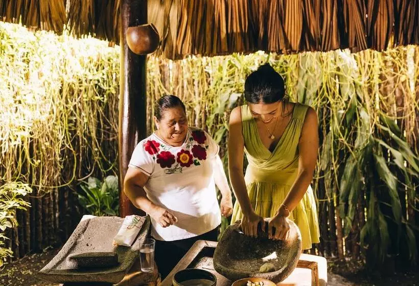 Отель Gaia Riverlodge