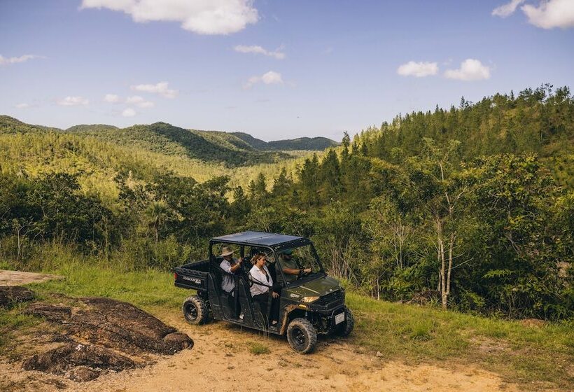 בית מלון כפרי Gaia Riverlodge