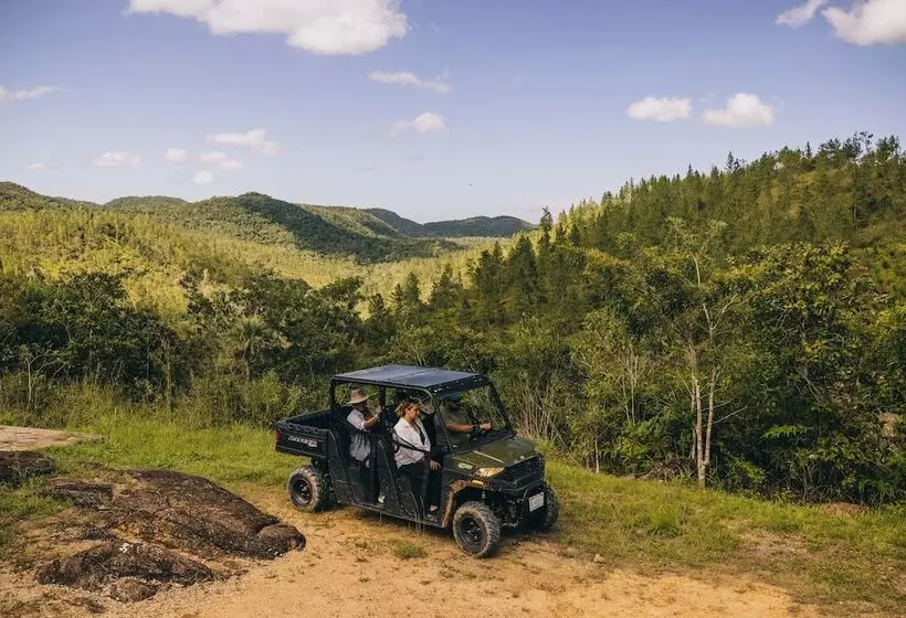 Отель Gaia Riverlodge