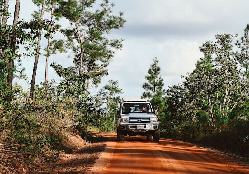 בית מלון כפרי Gaia Riverlodge