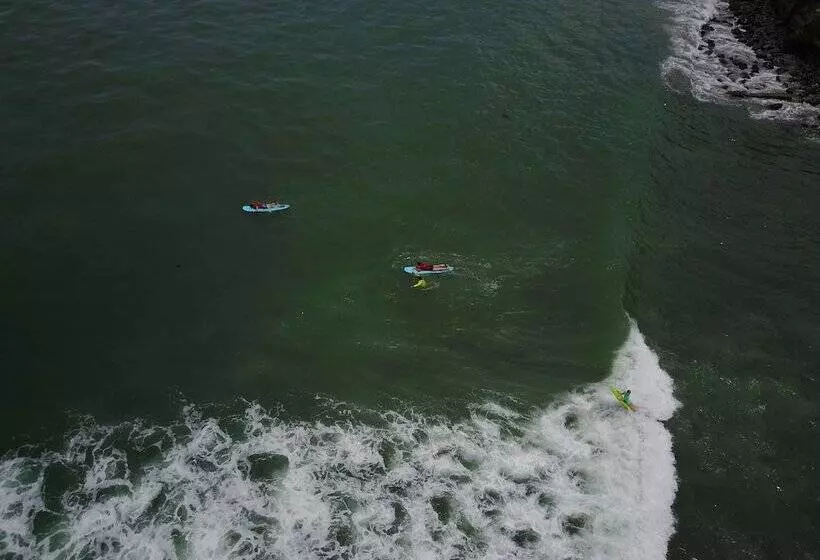 호텔 Manglar Lodge