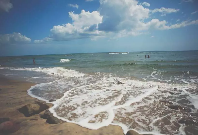 호텔 Manglar Lodge