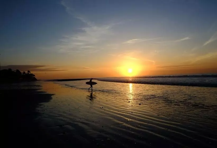 호텔 Manglar Lodge