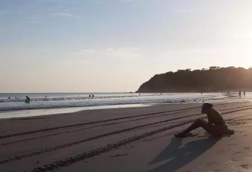 호텔 Manglar Lodge