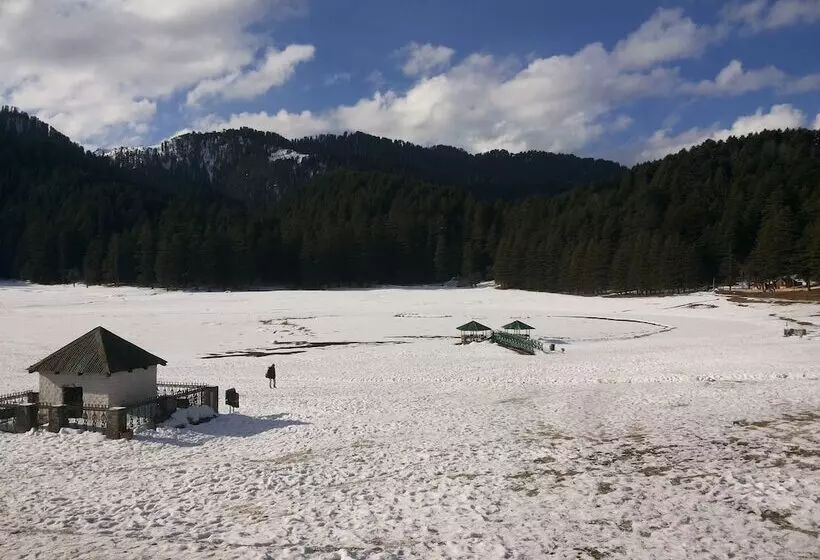 호텔 Shining Star Resort