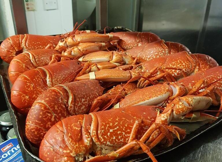 فندق The Blue Bell Inn