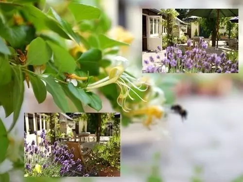 酒店 The Jolly Tar