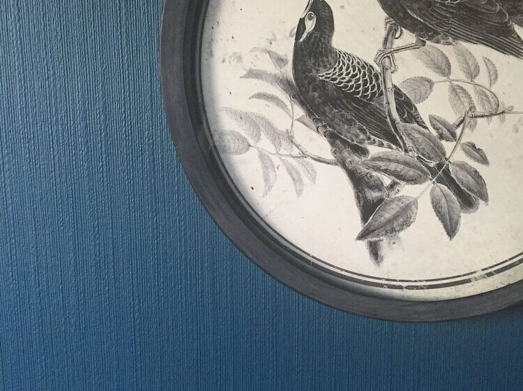 ペンション Berida